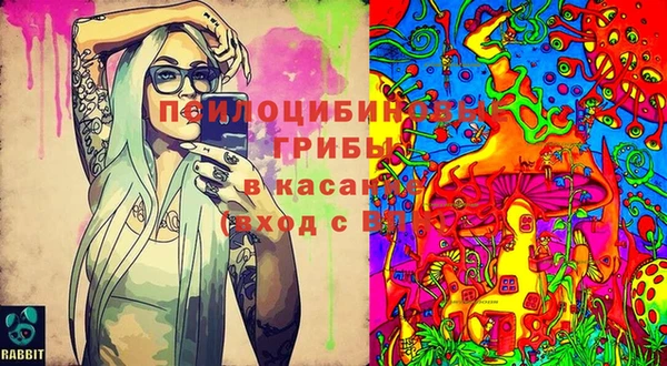 меф Дмитров