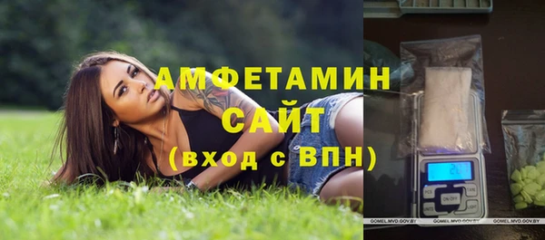 МДПВ Дмитриев