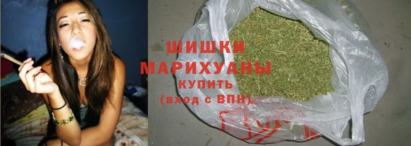 МДПВ Дмитриев