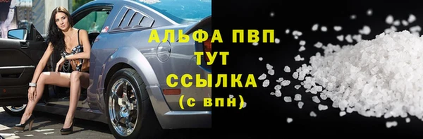 спиды Дмитровск