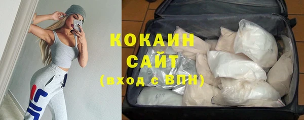 МДПВ Дмитриев