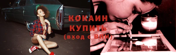 спиды Дмитровск