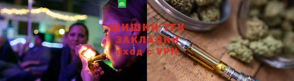 МДПВ Дмитриев