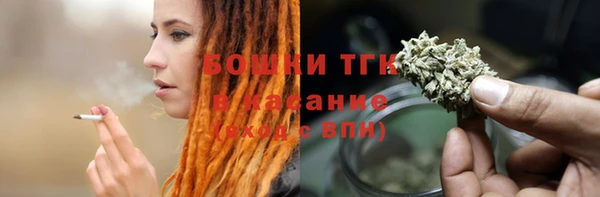 эйфоретик Няндома