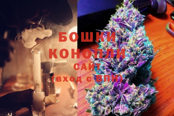 МДПВ Дмитриев